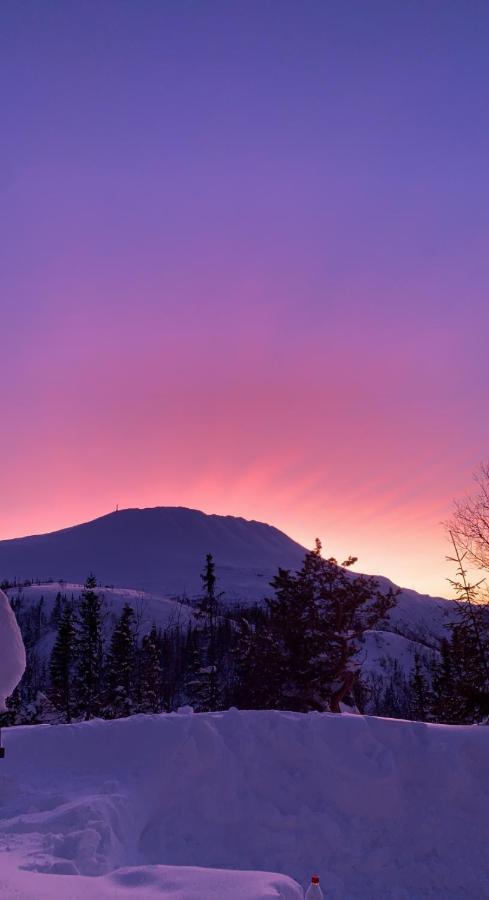 Gaustablikk Sportshytte Midt I Naturen Rjukan Esterno foto